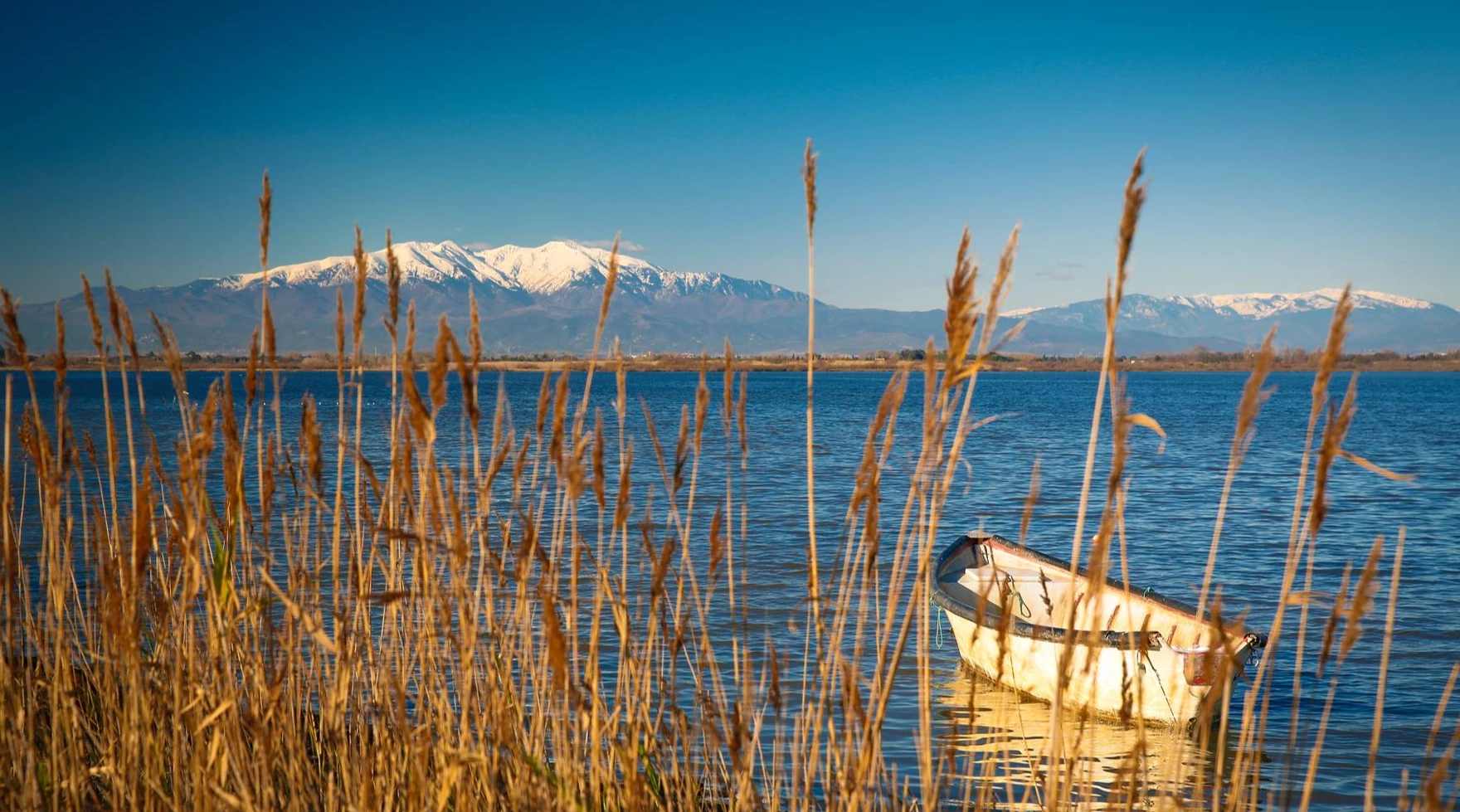 Contactez votre agence Guy Hoquet la plus proche pour trouver le bien immobilier de vos rêves